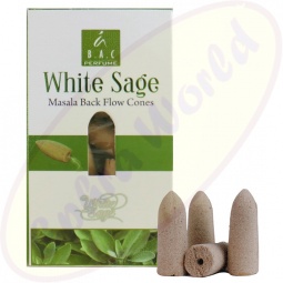 Balaji Rückfluss Kegel Backflow Cones White Sage