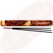 Darshan Cinnamon (Zimt) Räucherstäbchen Darshan Cinnamon (Zimt) Räucherstäbchen