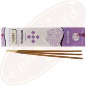 Goloka Yoga Positivity Pranayam Masala Räucherstäbchen Goloka Yoga Positivity Pranayam Masala Räucherstäbchen