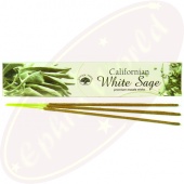 Green Tree Masala Räucherstäbchen Californian White Sage Green Tree Masala Räucherstäbchen Californian White Sage