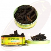 Song Of India Räucherholz Valerian 25g Song Of India Räucherholz Valerian 25g