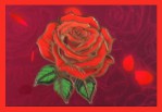 Aroma Rose Mystical Premium Masala Räucherstäbchen