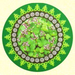 Ayurvedic Patschuli Masala R&auml;ucherst&auml;bchen