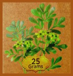 bic Arruda Natural Smudge R&auml;ucherst&auml;bchen