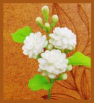 bic Jasmine Natural Smudge R&auml;ucherst&auml;bchen