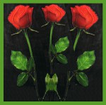 bic Brand Red Velvet Masala R&auml;ucherst&auml;bchen