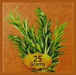 bic Rosemary Natural Smudge R&auml;ucherst&auml;bchen