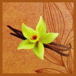 bic Vanilla Natural Smudge R&auml;ucherst&auml;bchen