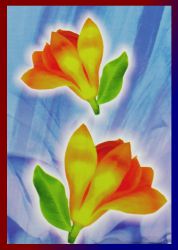 Darshan Nag Champa R&auml;ucherst&auml;bchen