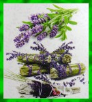 Green Tree White Sage & Lavender Masala Incense Sticks