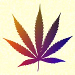Tulasi Cannabis Masala Räucherstäbchen