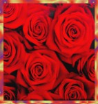 Graden Fresh Pure Rose Premium Masala R&auml;ucherst&auml;bchen