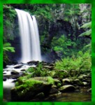 Graden Fresh Regenwald Premium Masala R&auml;ucherst&auml;bchen