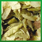 R&auml;ucherhaus R&auml;ucherkraut Bio-Hopfenbl&uuml;ten 15g