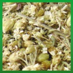 R&auml;ucherhaus R&auml;ucherkraut Bio-Schafgarbenkraut 15g