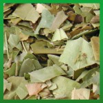 R&auml;ucherhaus R&auml;ucherkraut Myrtenbl&auml;tter 15g