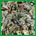 EW-R&auml;ucherhaus Kr&auml;utermischung Wanda-W&auml;chterin der Natur 20g