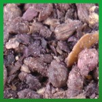 EW-R&auml;ucherhaus R&auml;uchermischung Wanda Bockenheimer Herbstglut 20g