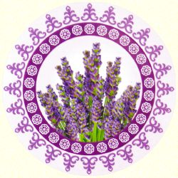 Ayurvedic Lavendel Masala Rückfluss-Räucherkegel