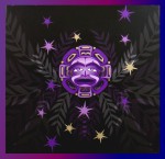 Goloka Native Spirits Moon Guidance Jasmine Masala R&auml;ucherst&auml;bchen