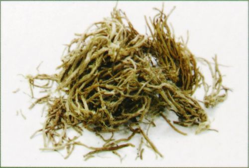 Premium Masala R&auml;ucherst&auml;bchen Goloka Natural Vetiver