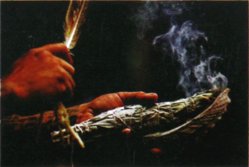 Premium Masala R&auml;ucherst&auml;bchen Goloka Natural White Sage