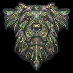 Goloka Rosemary Animal Spirit Smudge R&auml;ucherst&auml;bchen