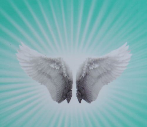 Green Tree Fradrance Oil Angel Healing