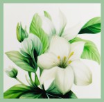 Green Tree Jasmine & Olibanum Extra Premium Masala R&auml;ucherst&auml;bchen