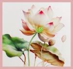 Green Tree Lotus & Olibanum Extra Premium Masala R&auml;ucherst&auml;bchen