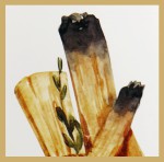 Green Tree Palo Santo & Olibanum Extra Premium Masala R&auml;ucherst&auml;bchen