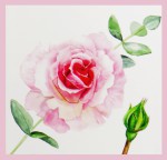 Green Tree Rose & Olibanum Extra Premium Masala R&auml;ucherst&auml;bchen