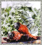 Green Tree White Sage & Dragonsblood Masala Incense Sticks