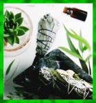 Green Tree White Sage & Eucalyptus Masala R&auml;ucherst&auml;bchen