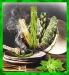 Green Tree White Sage & Sweetgrass Flora Incense Sticks