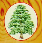 Hari Darshan Ceder Wood Räucherstäbchen