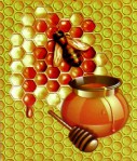 Hari Darshan Honey (Honig)  Räucherstäbchen
