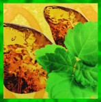 Hari Darshan Patchouli Amber R&auml;ucherst&auml;bchen