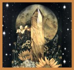 Hari Darshan Tribal Soul Crystal Magic Tiger Eye Smudge R&auml;ucherst&auml;bchen