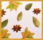 HEM Cinnamon/Zimt Masala R&auml;ucherst&auml;bchen