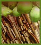 HEM Coconut Cinnamon R&auml;ucherst&auml;bchen