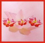 HEM Lotus R&uuml;ckflussr&auml;ucherkegel