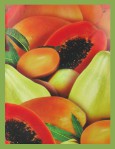 HEM Mango Papaya Räucherstäbchen