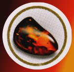 HEM Aroma Oil Mystic Amber/Bernstein