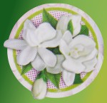 HEM Aroma Oil Mystic Jasmine