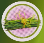 HEM Aroma Oil Mystic Lemongrass HEM Aroma Oil Mystic Lemongrass