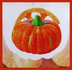 HEM Pumkin Pie R&auml;ucherst&auml;bchen