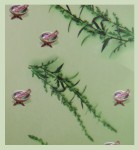 HEM Mugwort (Artemisa, Beifu&szlig;) R&auml;ucherst&auml;bchen