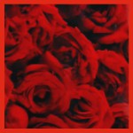 HEM Red Rose R&auml;ucherst&auml;bchen