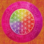 HEM Masala R&auml;ucherst&auml;bchen Spiritual Scents Flower of Life